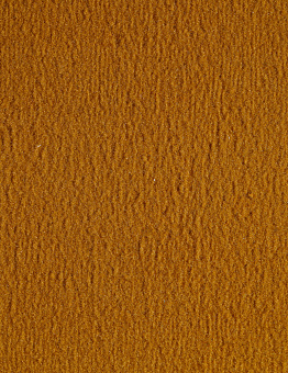Nex carpet