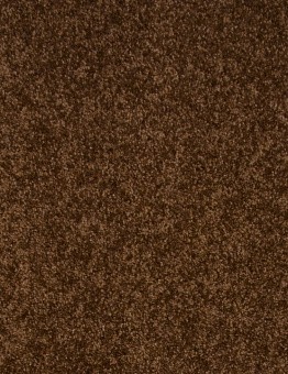 Carpet Camilia