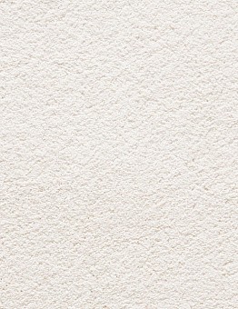 Natural Embrace Carpet