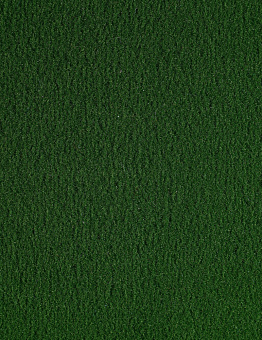 Nex carpet