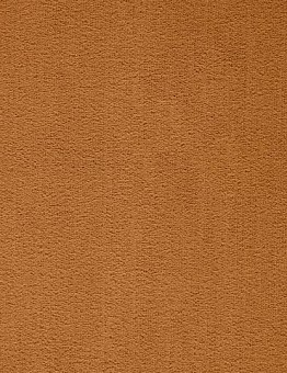 Prominent Carpet